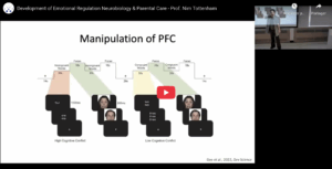 Read more about the article Development of Emotional Regulation Neurobiology & Parental Care | Prof. Nim Tottenham – Columbia University