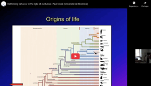 Read more about the article Rethinking behavior in the light of evolution | Prof. Paul Cisek – Université de Montréal