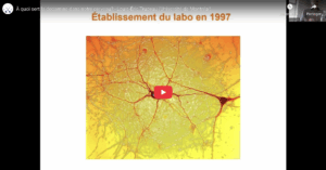 Read more about the article À quoi sert la dopamine dans notre cerveau? | Prof. Louis-Éric Trudeau – Université de Montréal