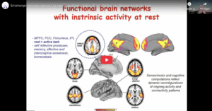 Read more about the article Emotion processing: network dynamics and brain states | Prof. Patrik Vuilleumier – Université de Genève